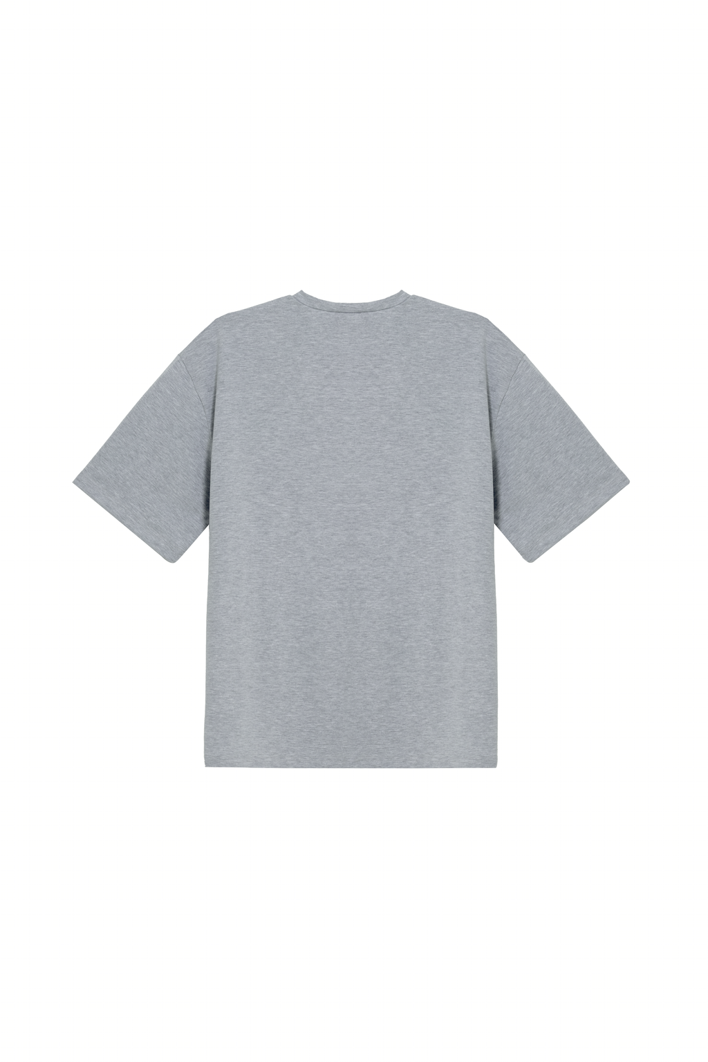 GREY T-SHIRT (PREORDER)