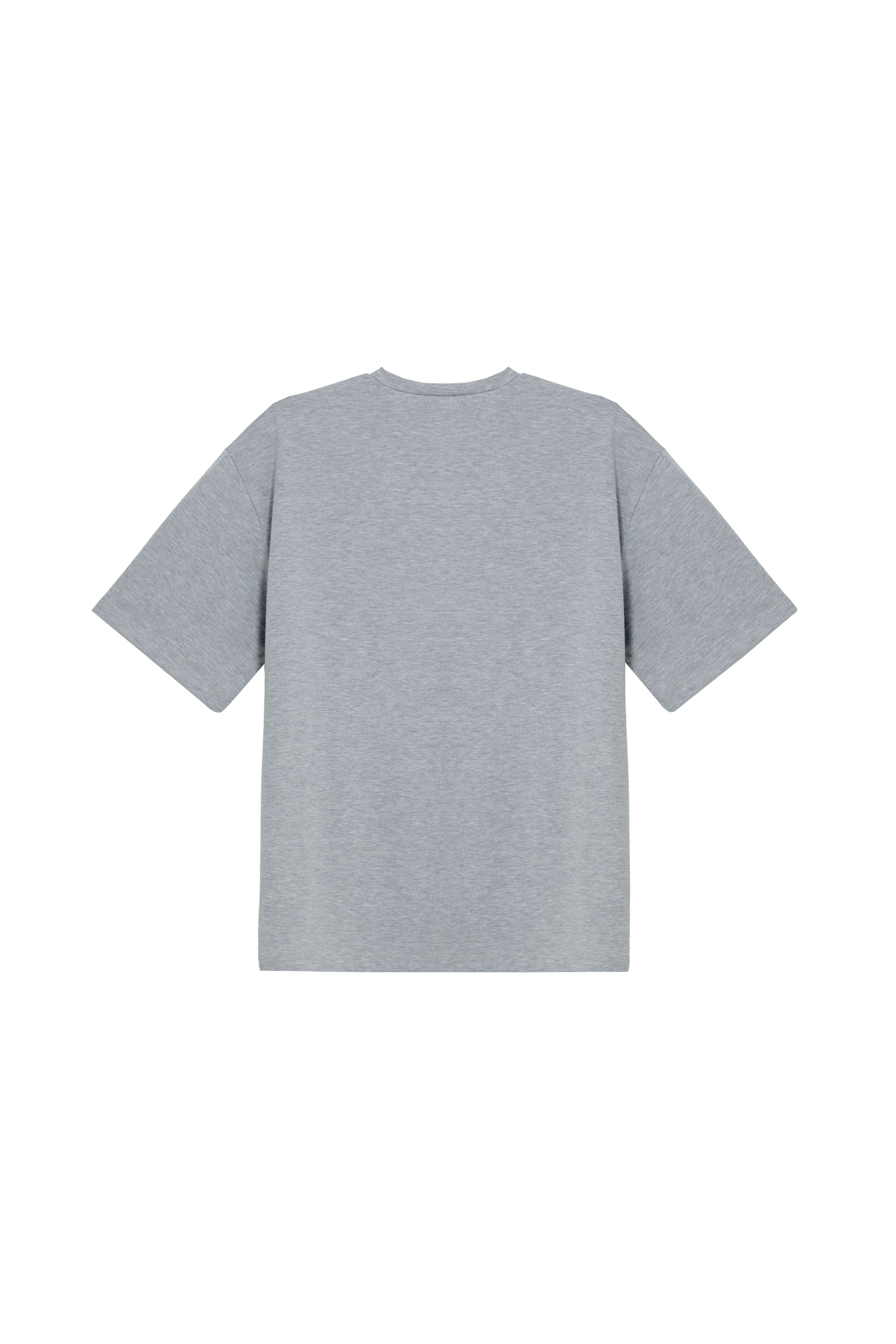 GREY T-SHIRT (PREORDER)