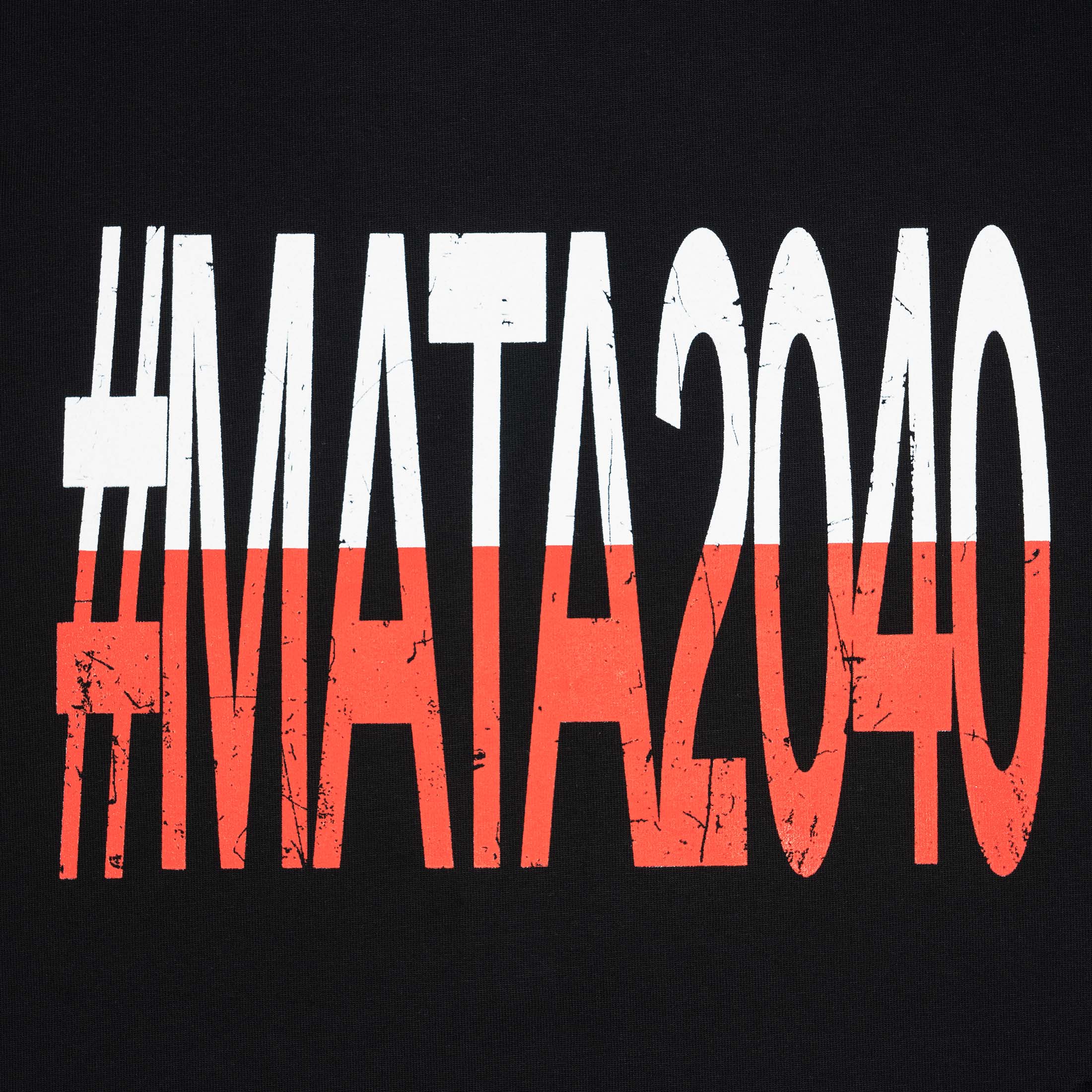 t33shirt #2040 polska (black) (PREORDER)