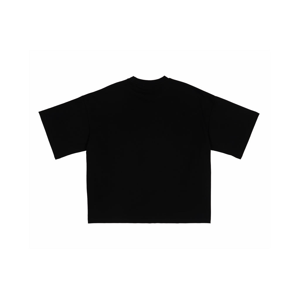 t33shirt #2040 polska (black) (PREORDER)