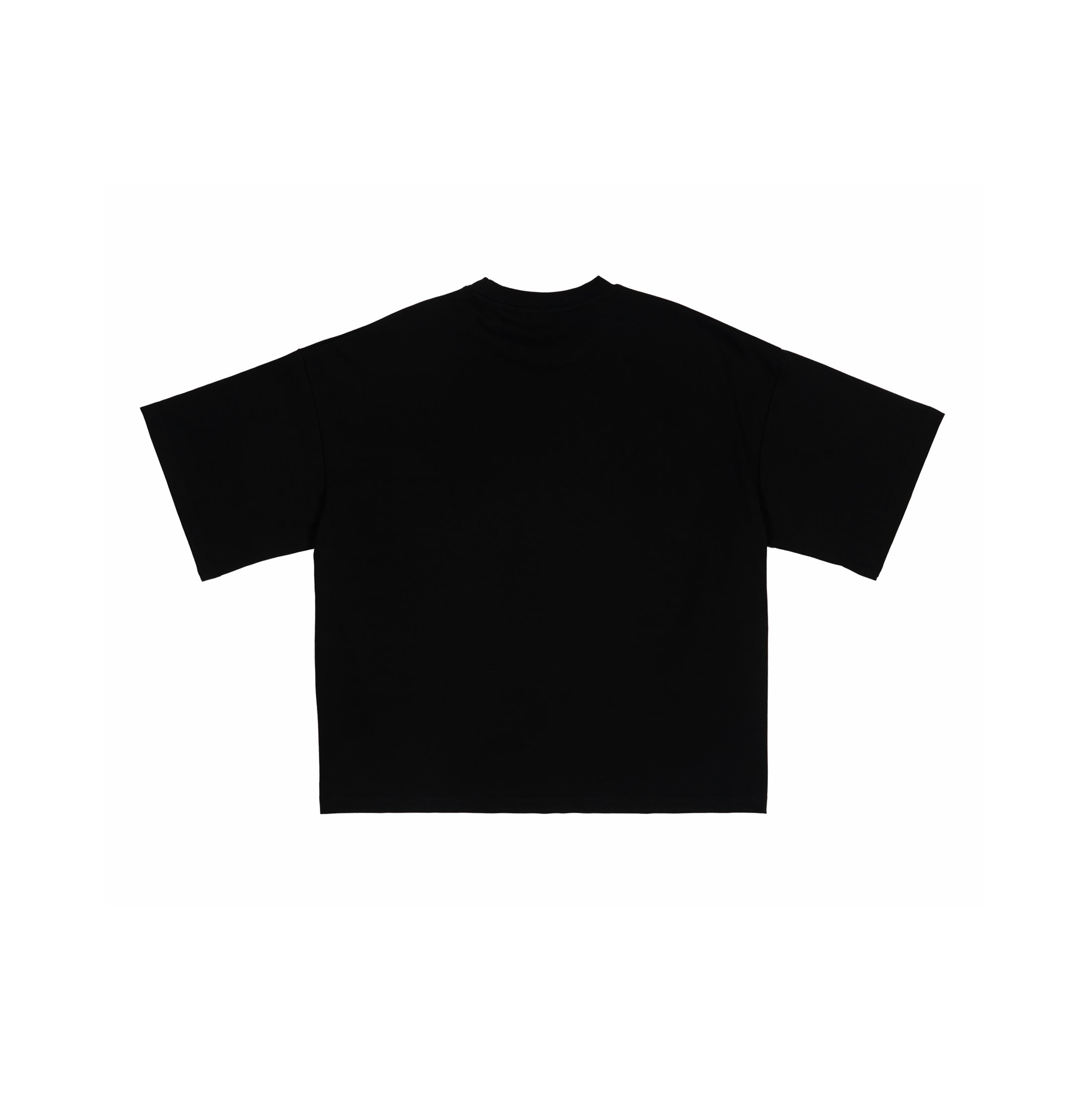 t33shirt #2040 polska (black) (PREORDER)